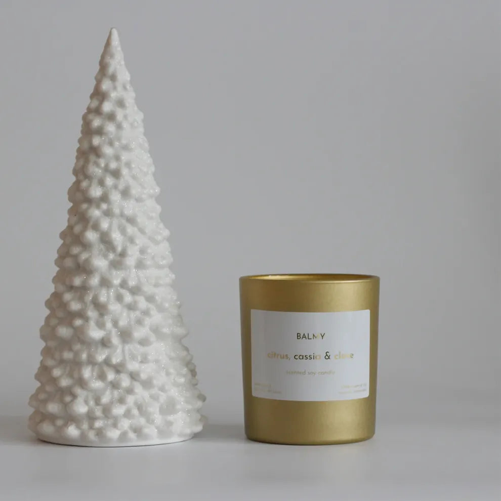 Citrus Cassia and Clove Scented Candle