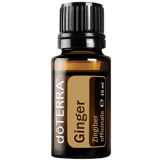 Ginger Essential Oil - 15ml