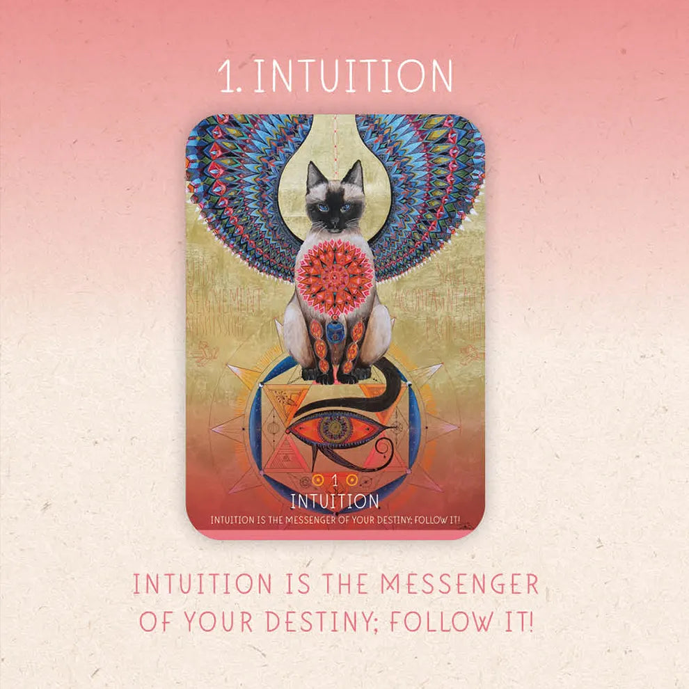 Oracle Card with a cat illustration and 'Intuition' text on a pink background