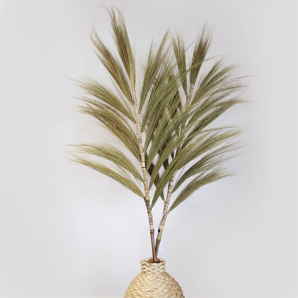 Rayung Grass - Natural - 160cm