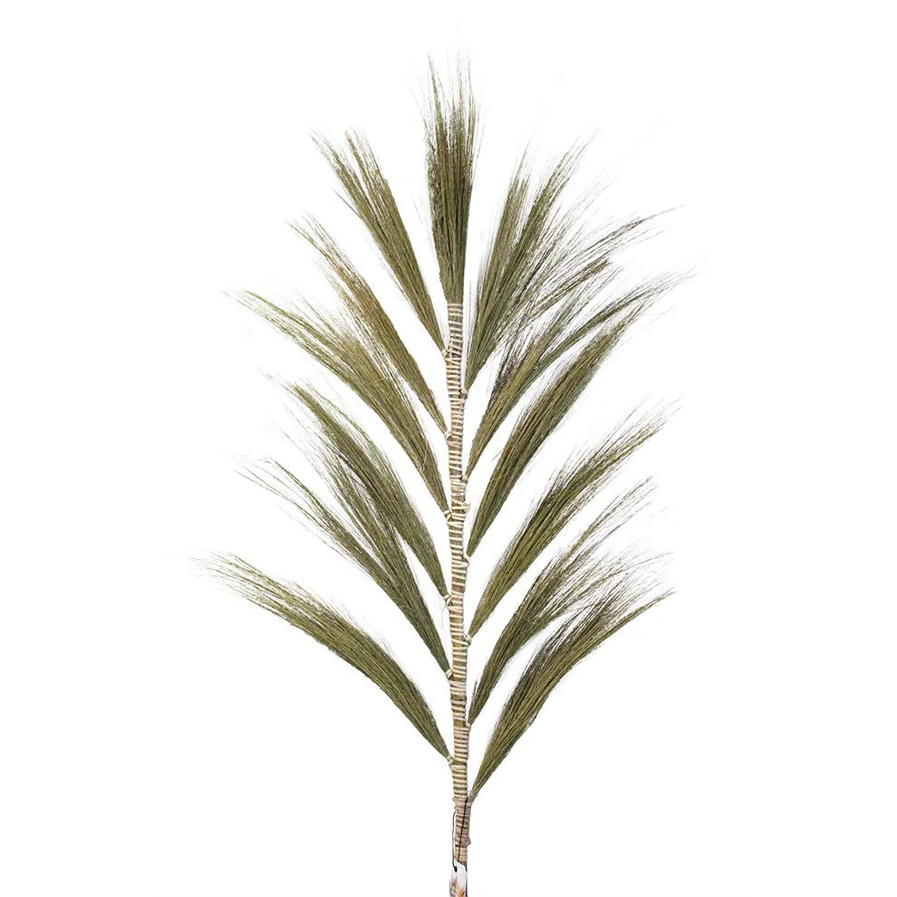 Rayung Grass - Natural - 160cm