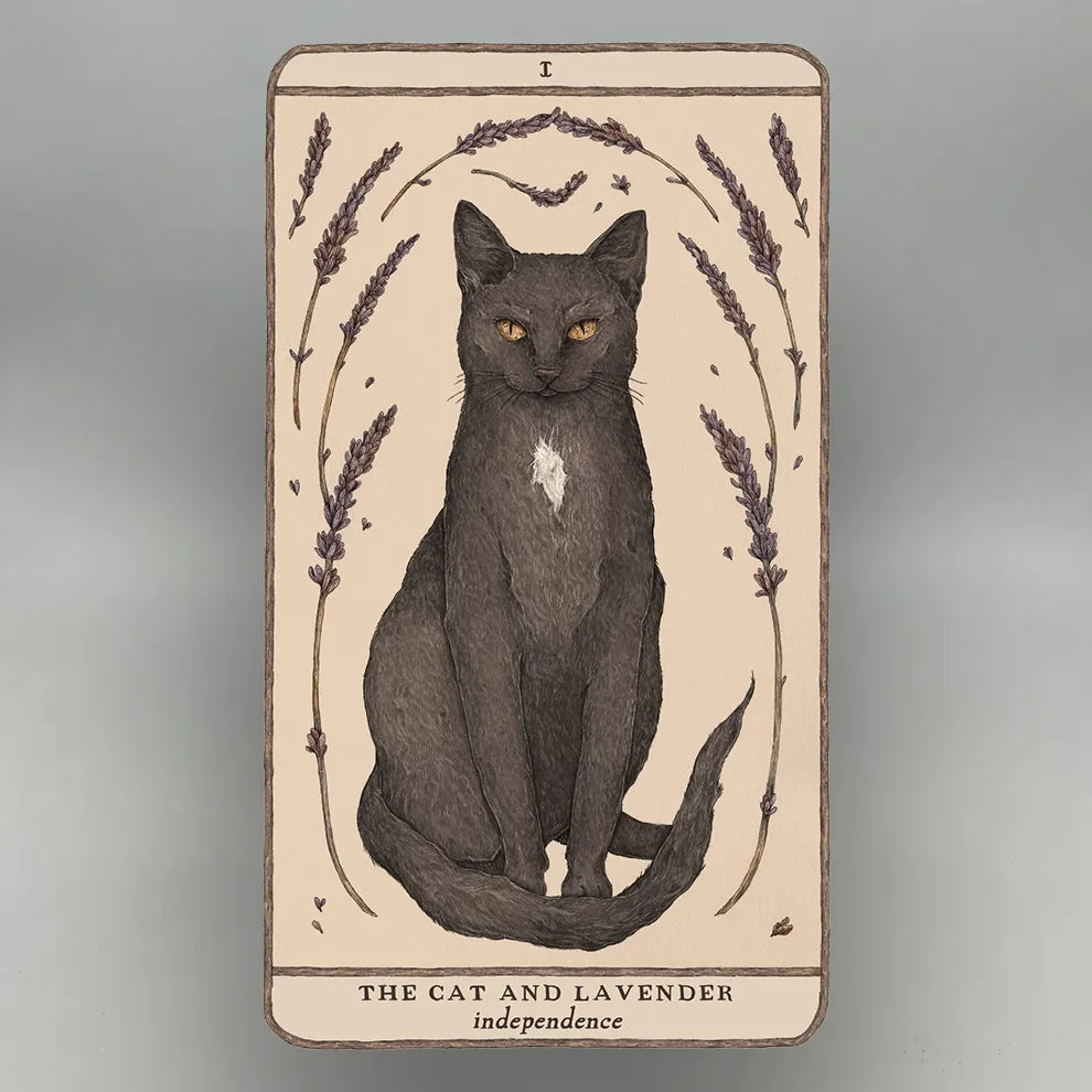 Oracle card featuring a black cat and lavender flowers with text 'The Cat and Lavender' and 'independence'.