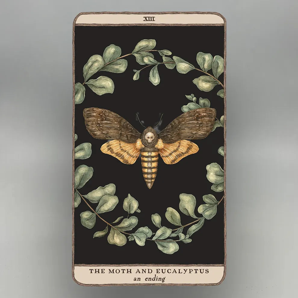 Oracle Card featuring a moth and eucalyptus leaves on a dark background